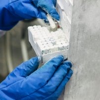 Snijders Labs Newsletter - February Update 3 13