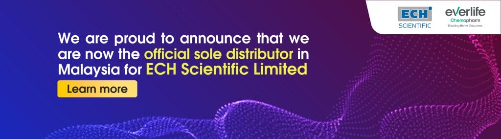 ECH New Brand Announcement web 2